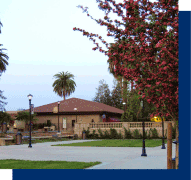 flowering trees and palm trees on campus